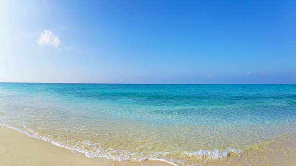 沖縄の海